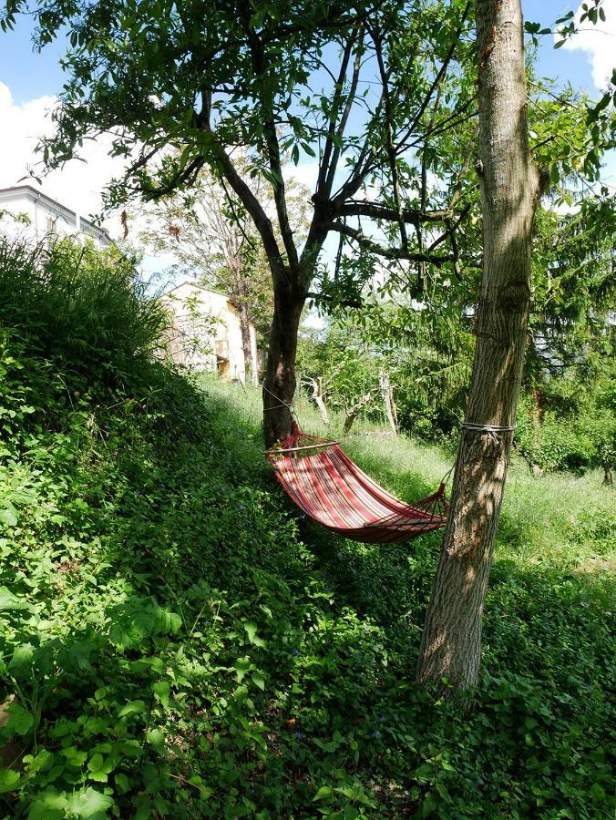 B&B Santa Ildegarda Cantalupo nel Sannio ภายนอก รูปภาพ