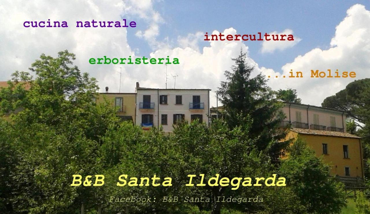 B&B Santa Ildegarda Cantalupo nel Sannio ห้อง รูปภาพ